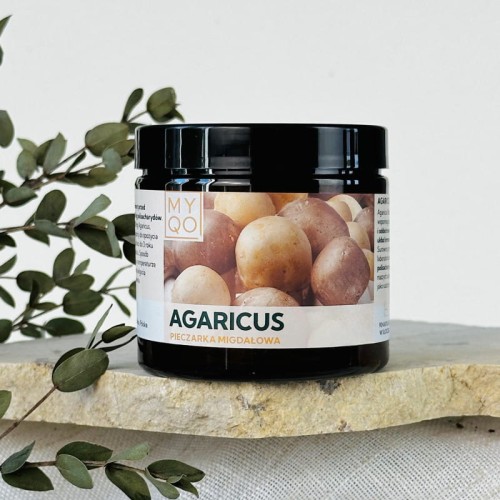 agaricus-blazei-murill-pieczarka-migdalowa.jpg